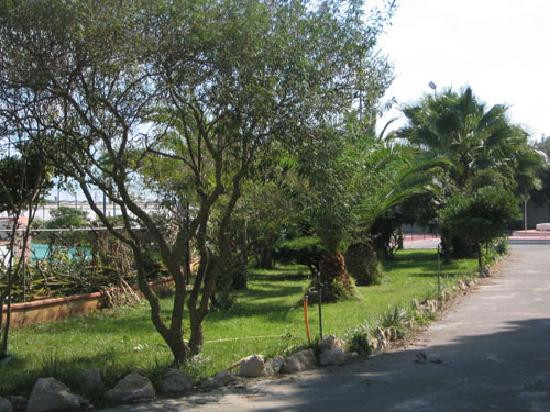 B&B Sciaradamar主图