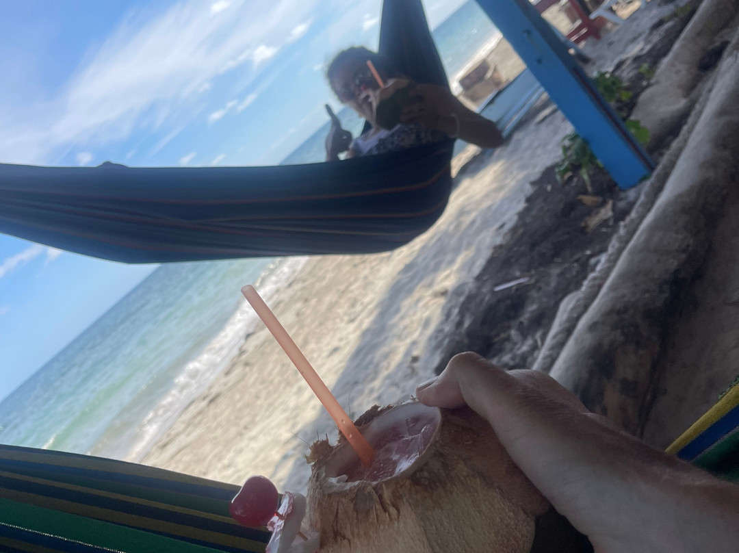 Playa Manzanillo景点图片