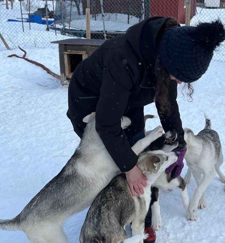 Tana Husky - Day Tours-Tana Bru必去景点