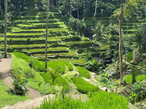Aries Bali Tour-吉安雅必去景点