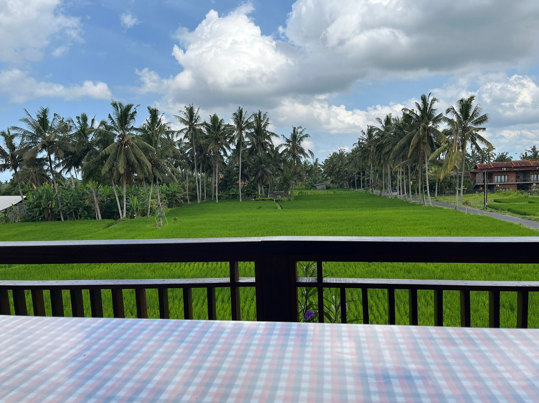 Bali Fun Bike Adventure景点图片