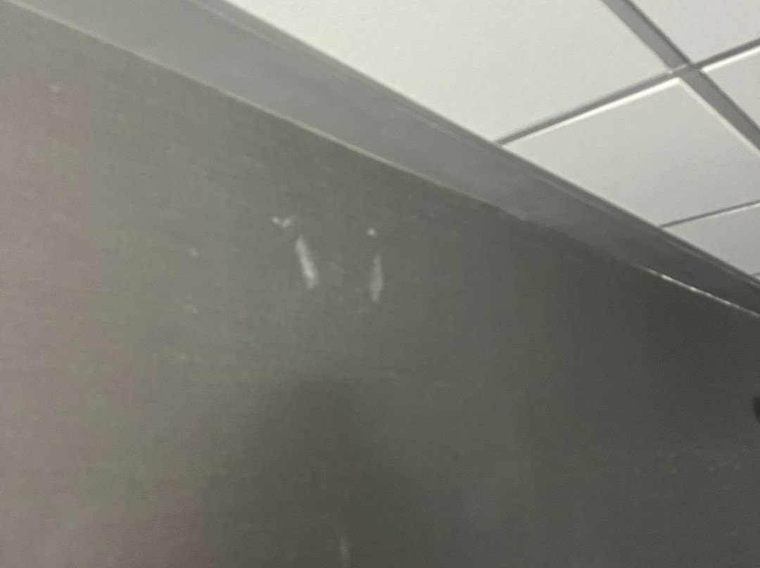 Best Western Potsdam University Park Inn主图