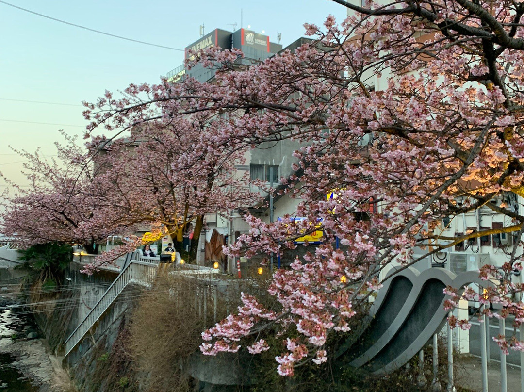 Itokawa Path-热海市必去景点