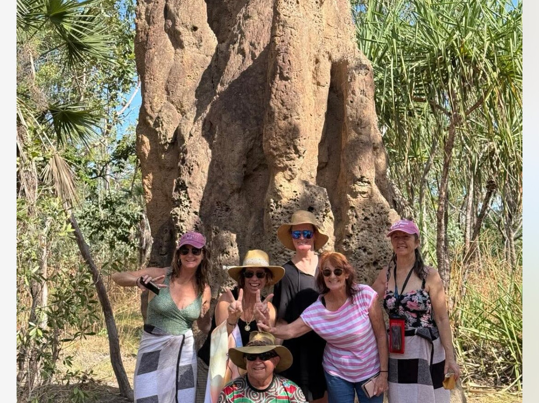 Litchfield Tours-达尔文市必去景点