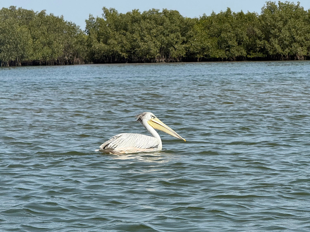 Iles du Saloum Decouverte景点图片