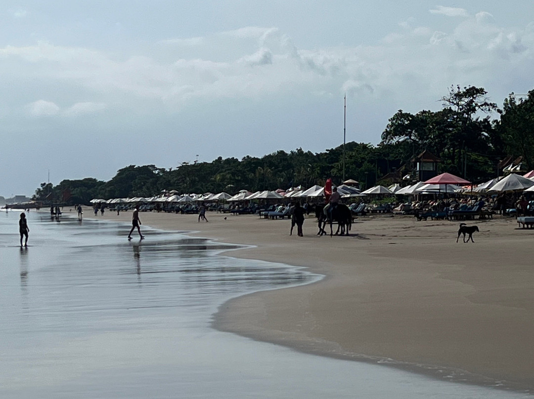 Banny Tours Bali-金巴兰必去景点