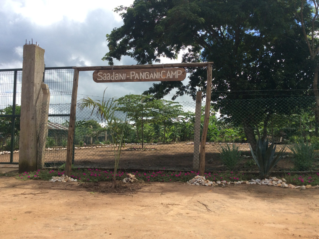 Saadani Pangani Camps And Tours