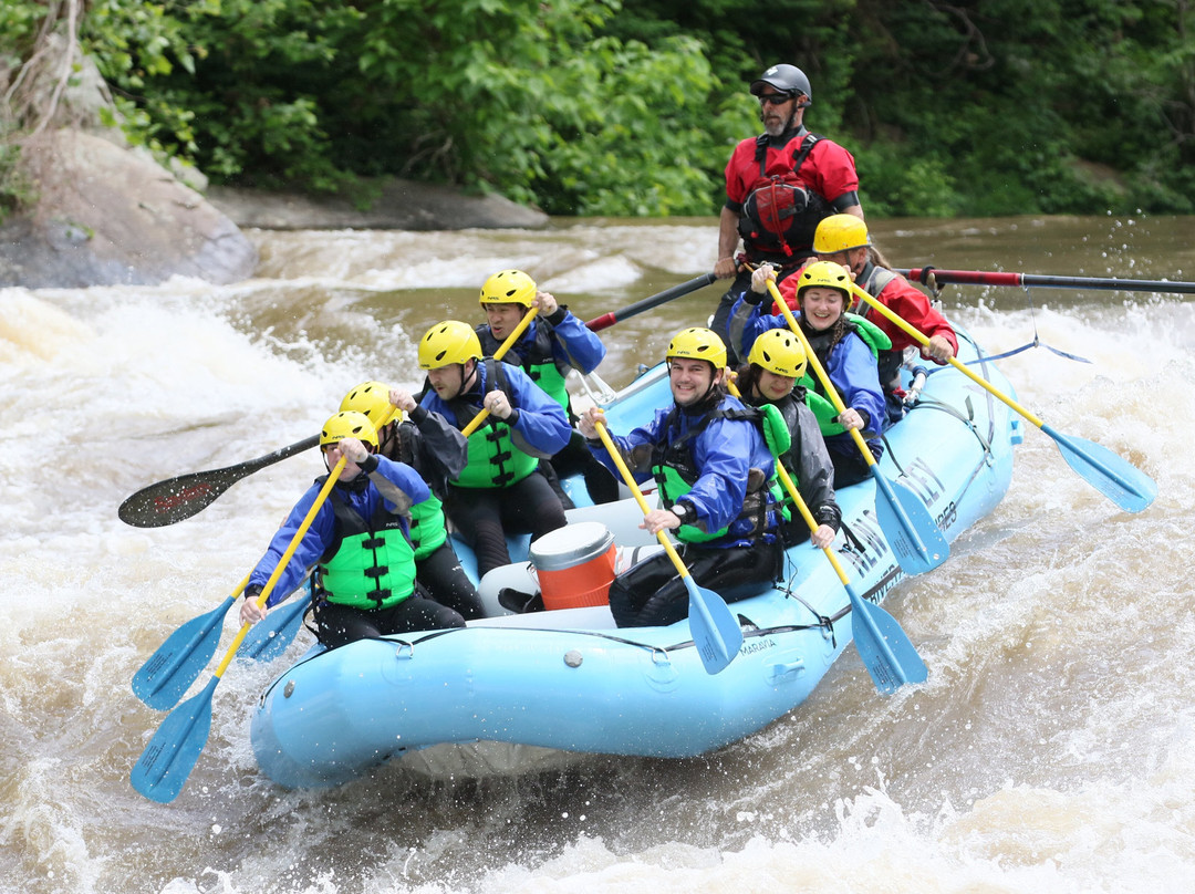 New & Gauley River Adventures-Lansing必去景点