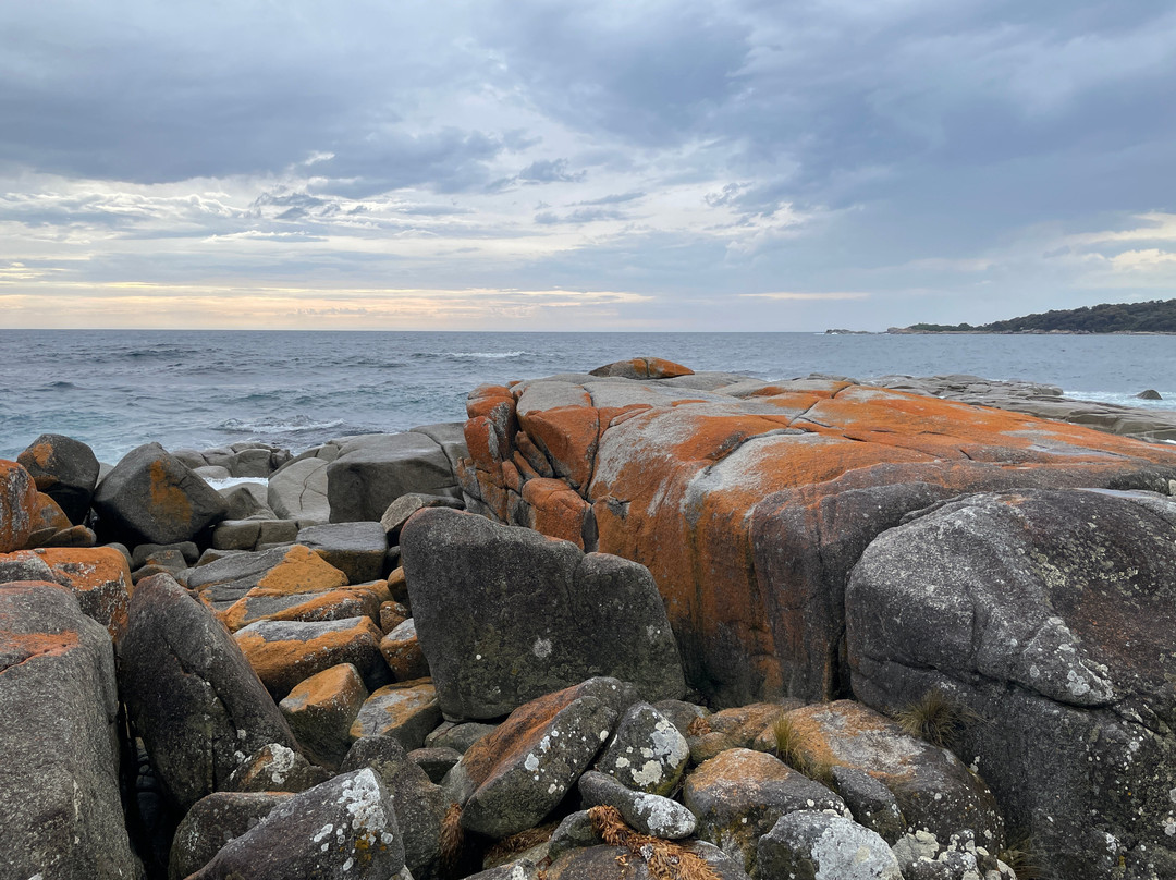 Bilalong Bay Beach景点图片