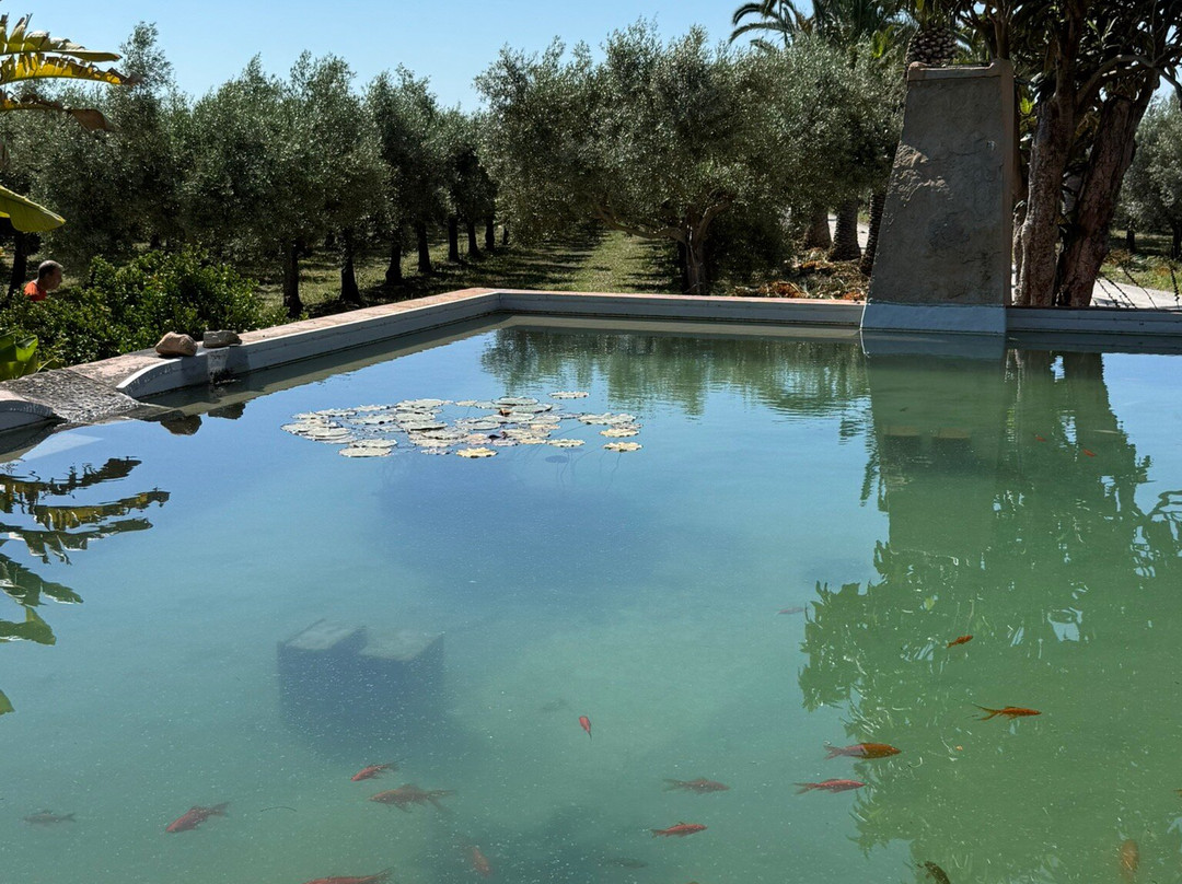 Monterosa Olive Oil Farm-Moncarapacho必去景点