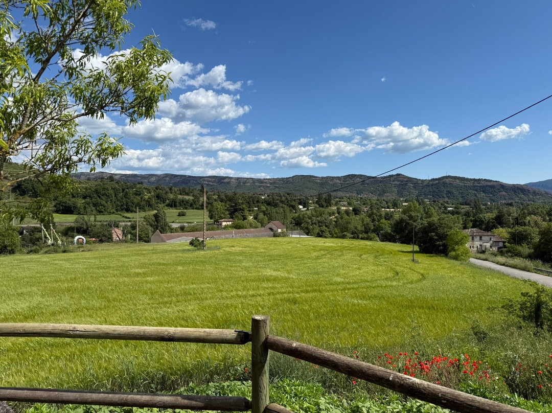 阿尔尼斯酒窖酒店主图