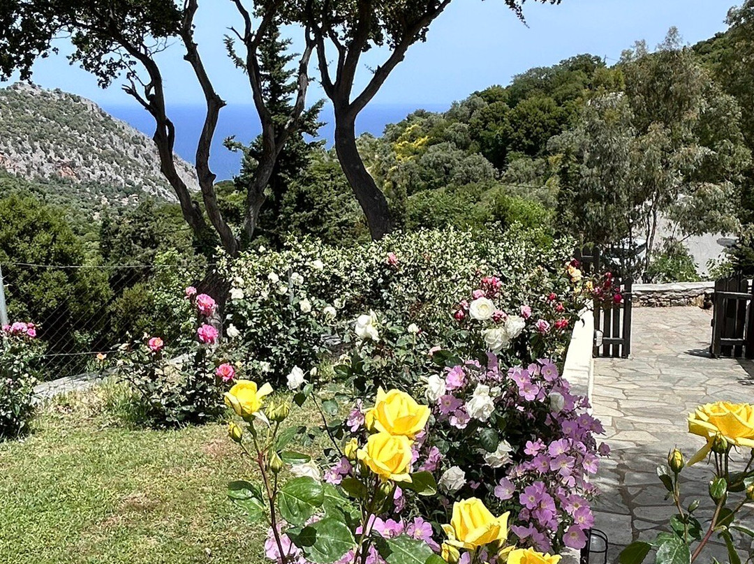 Monastero di Panagia Evangelistria景点图片