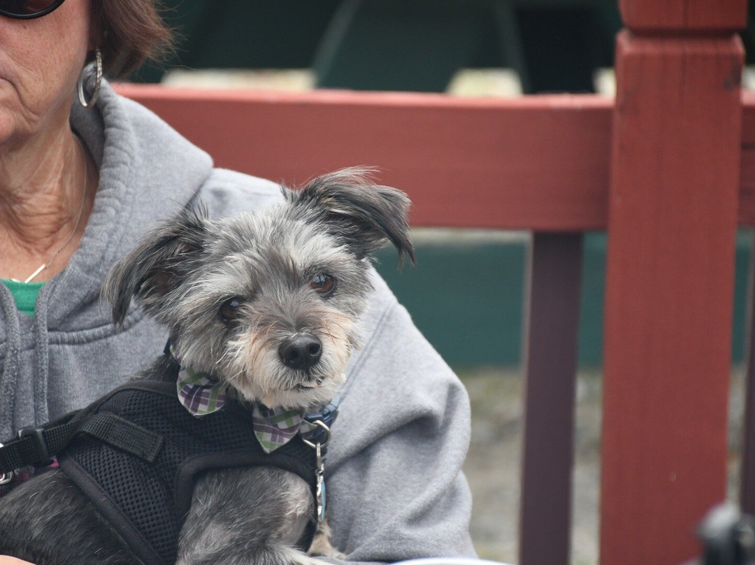 Hunter Valley Winery-开普吉拉多必去景点