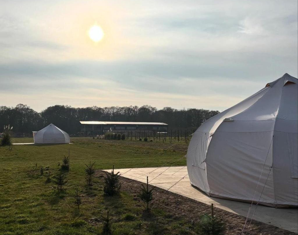Black Barn Farm Campsite