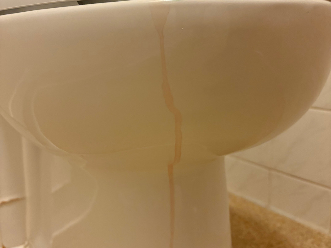 Premier Inn Dundee (Monifieth) Hotel主图