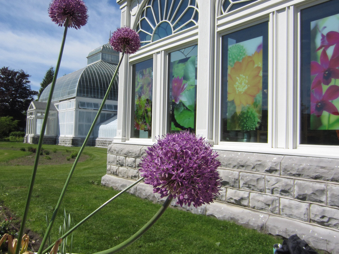 Buffalo and Erie County Botanical Gardens-水牛城必去景点
