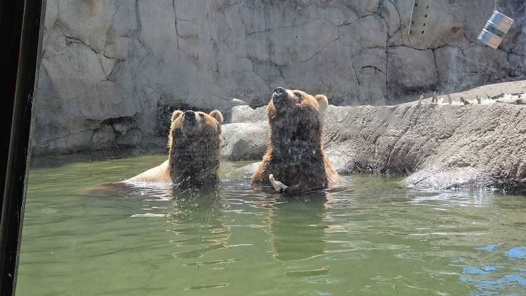 Lake Superior Zoo-德卢斯必去景点