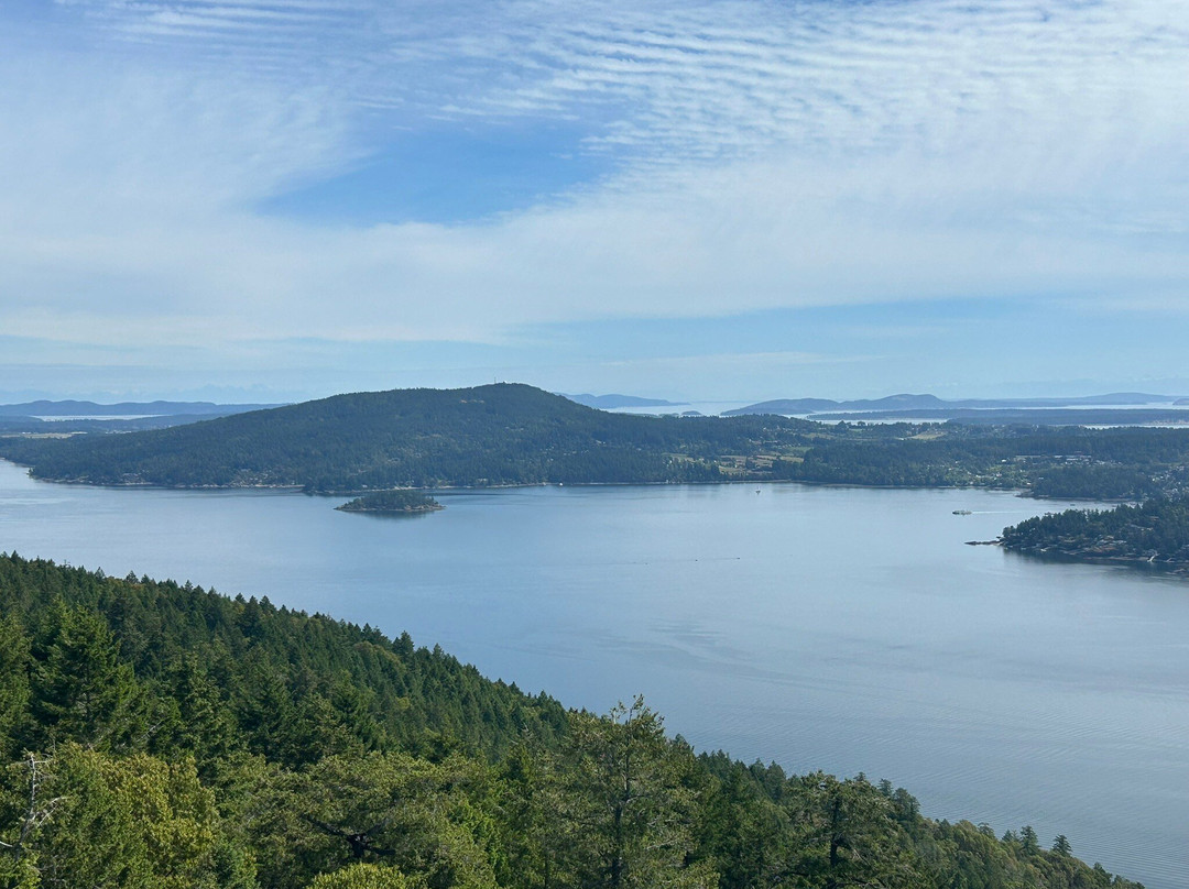Malahat Skywalk景点图片