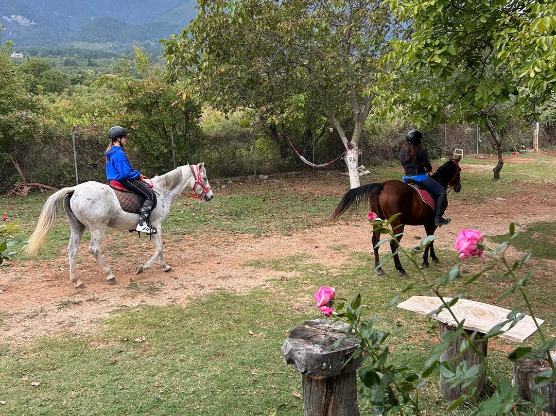 Olympus Horse Riding Club-Litochoro必去景点
