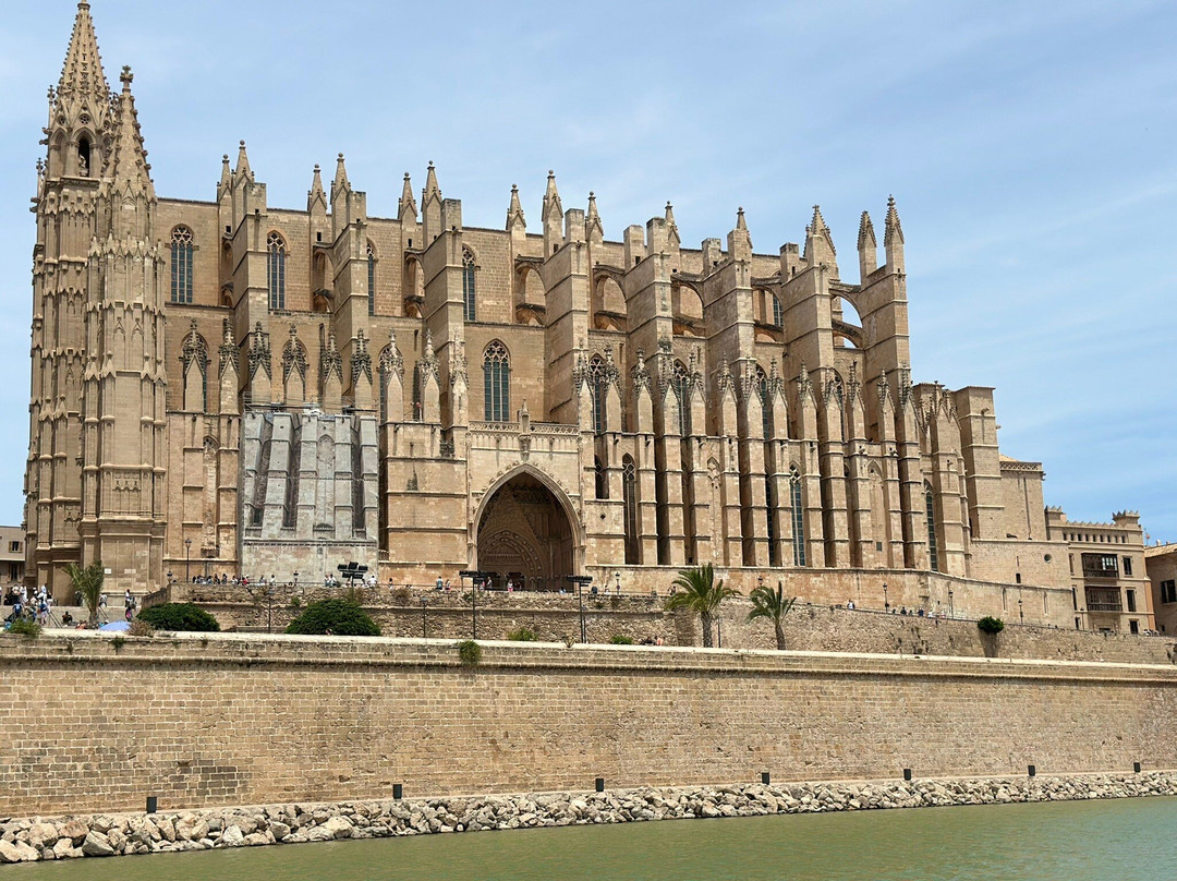 Mallorca Private Tour Guides - Day Tours-马洛卡帕尔马必去景点