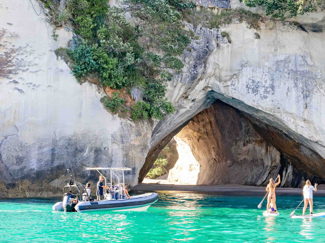 Ocean Escapes Private Charter-菲蒂昂格必去景点