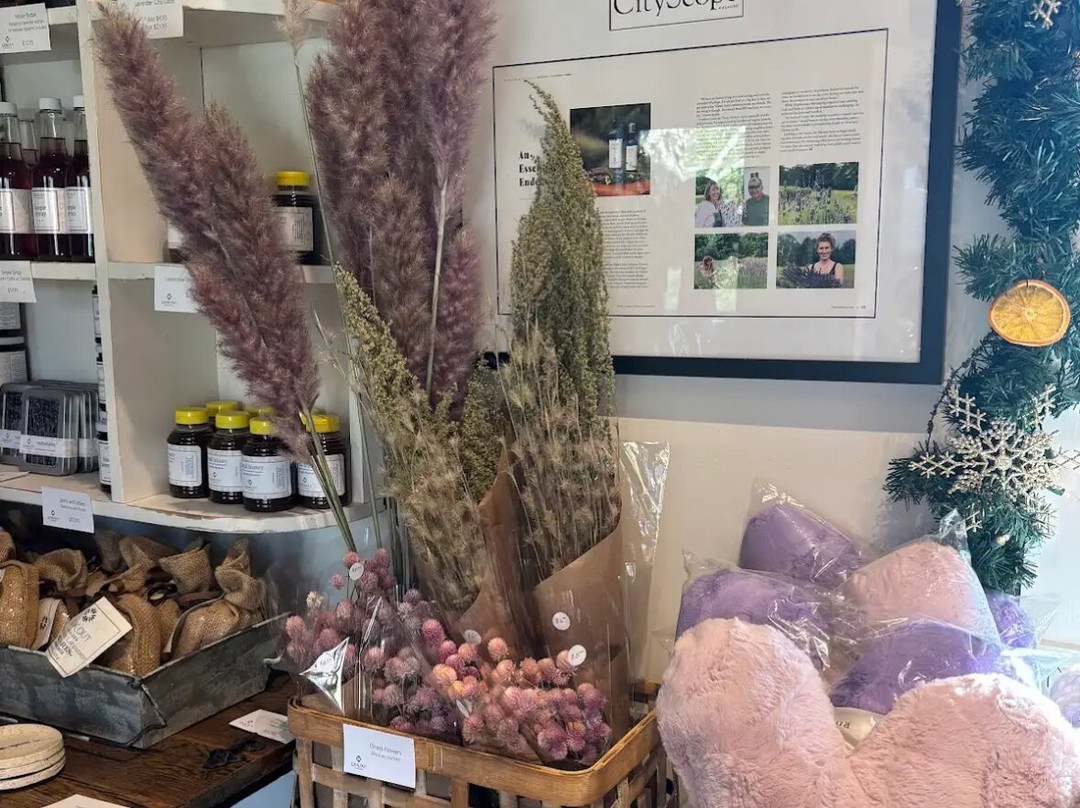 Lookout Lavender Farm