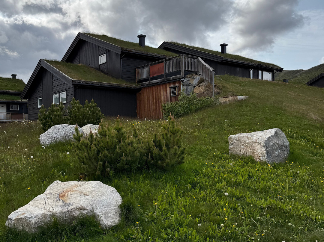 Geilo Mountain Lodge主图