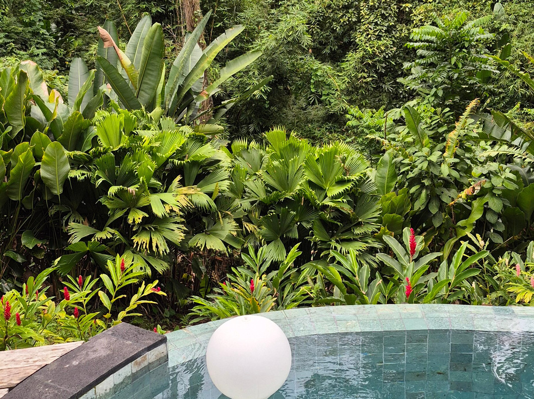 La Coralina Island House主图