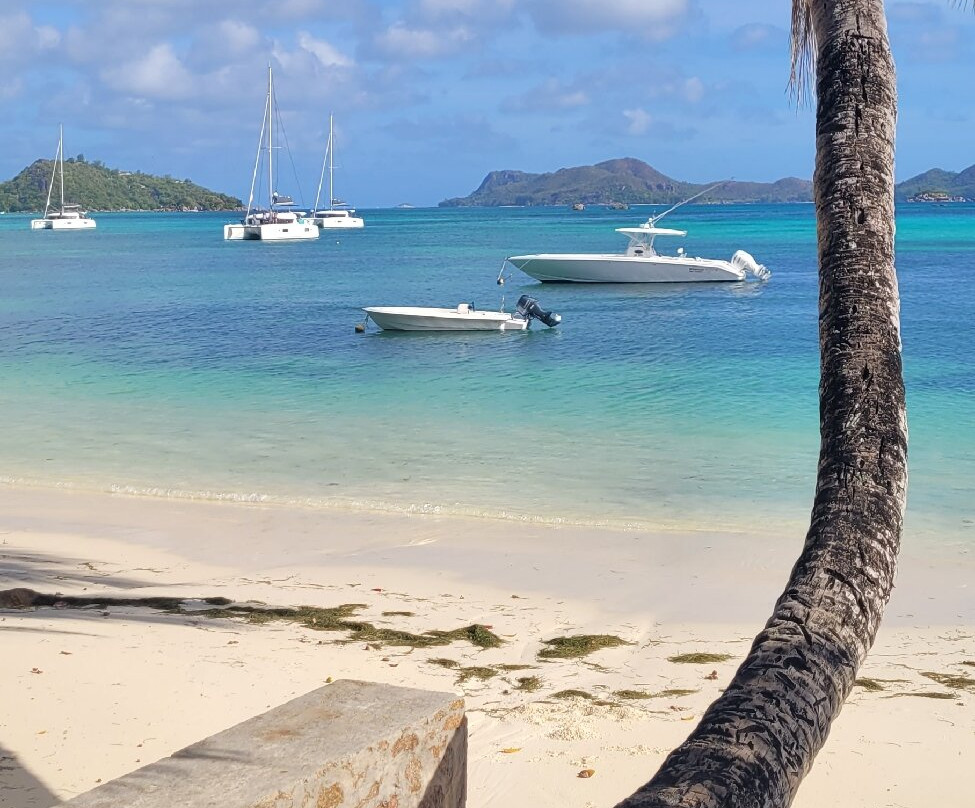 Praslin Pro Divers-普拉兰岛必去景点