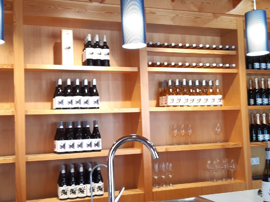 Bodegas Neleman, Casas del Rey - Valencia (Spain)-Venta del Moro必去景点