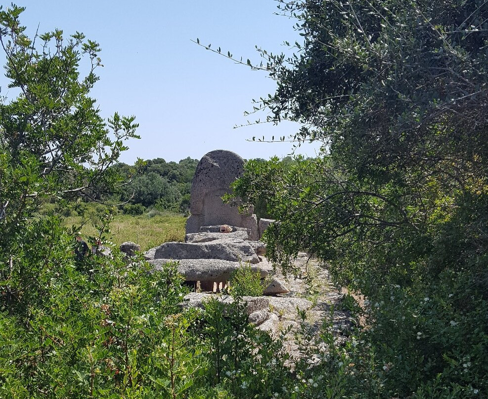 Tomba dei Giganti di Coddu Vecchiu-Arzachena必去景点