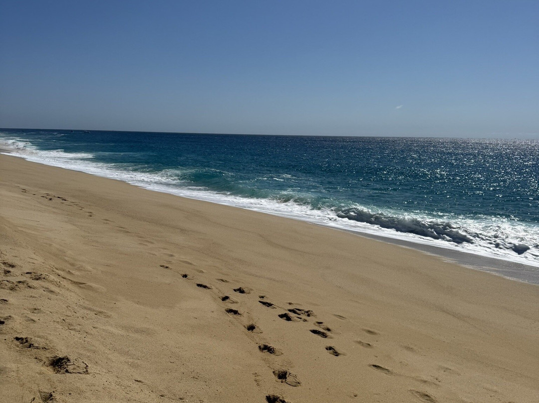 Divorce Beach-卡波圣卢卡斯必去景点