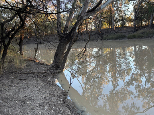 Toobeah Hotel Motel主图