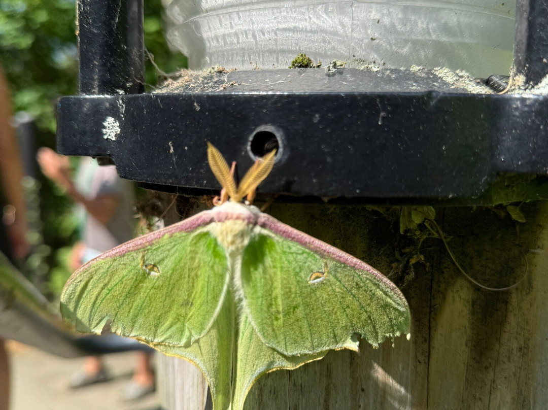 Quechee Gorge-Quechee必去景点