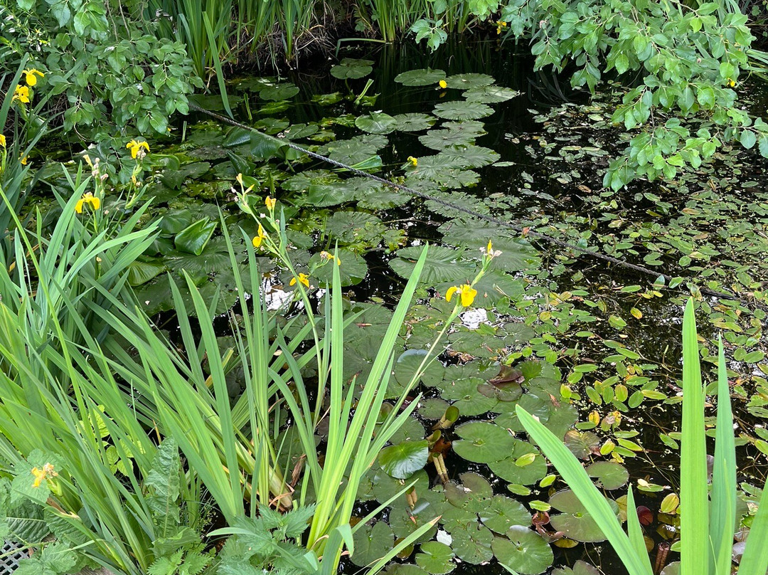 Castle Eden Dene Nnr-Peterlee必去景点