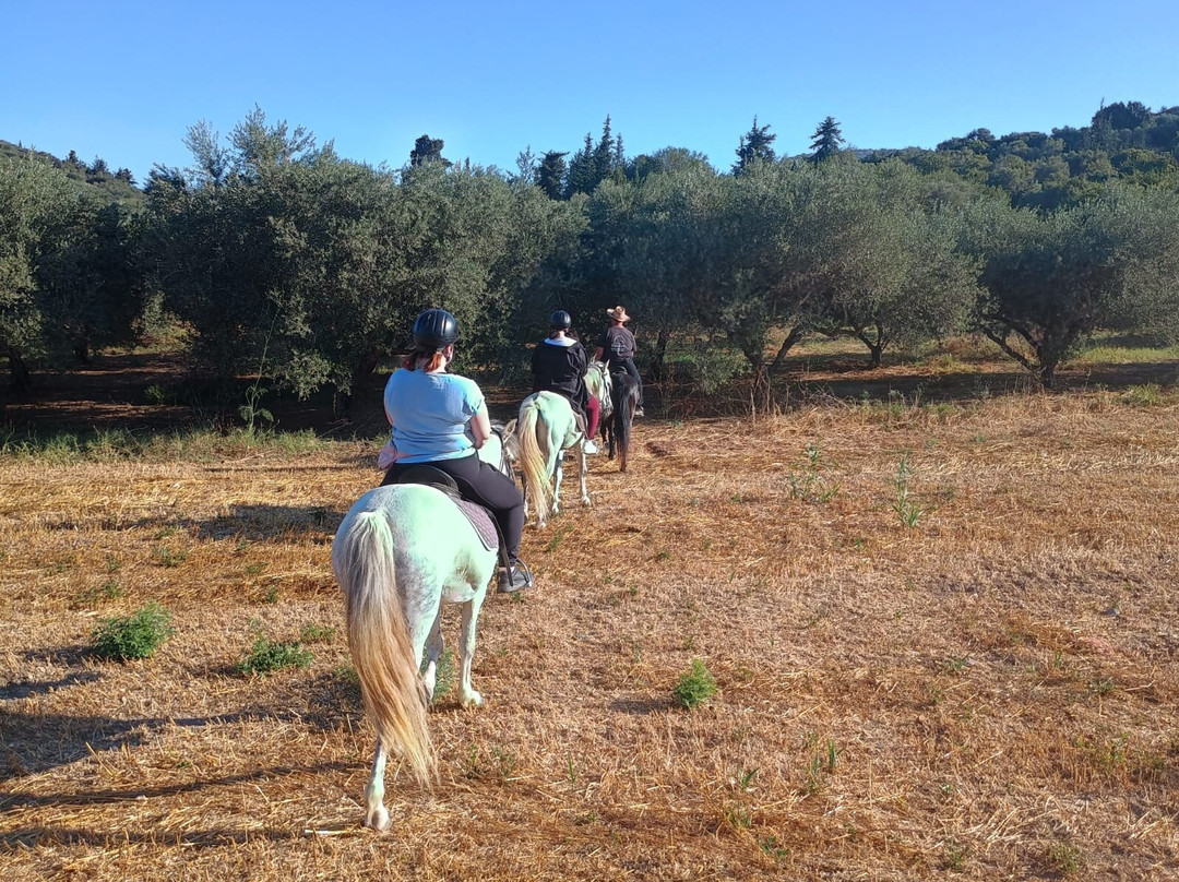 Horseriding Georgoupolis/ Grillo's Stable-Georgioupolis必去景点