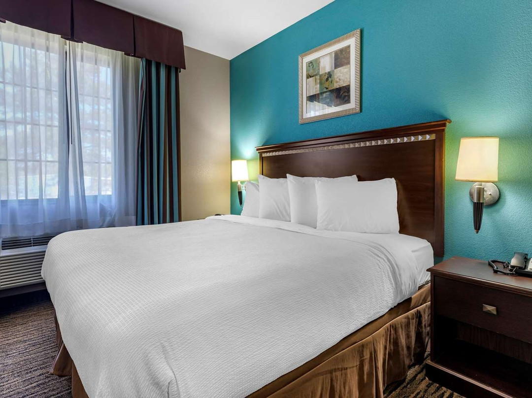 Alba酒店住宿-Best Western Mineola Inn