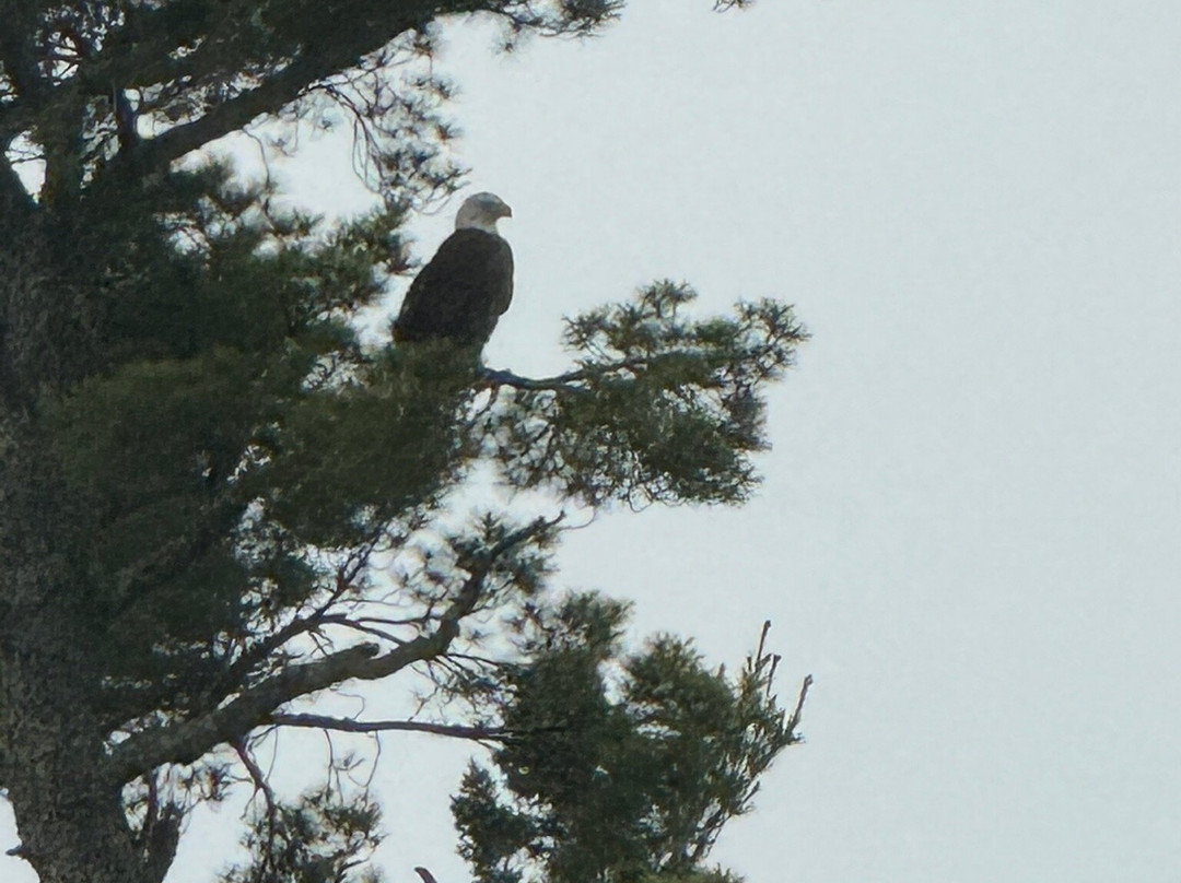 Way To Go Canoe Outfitters-伊利必去景点