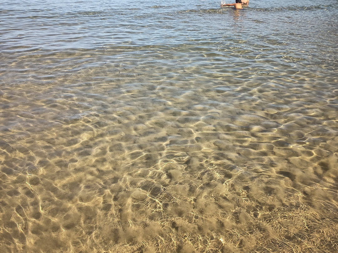 Spiaggia Grande-Acciaroli必去景点