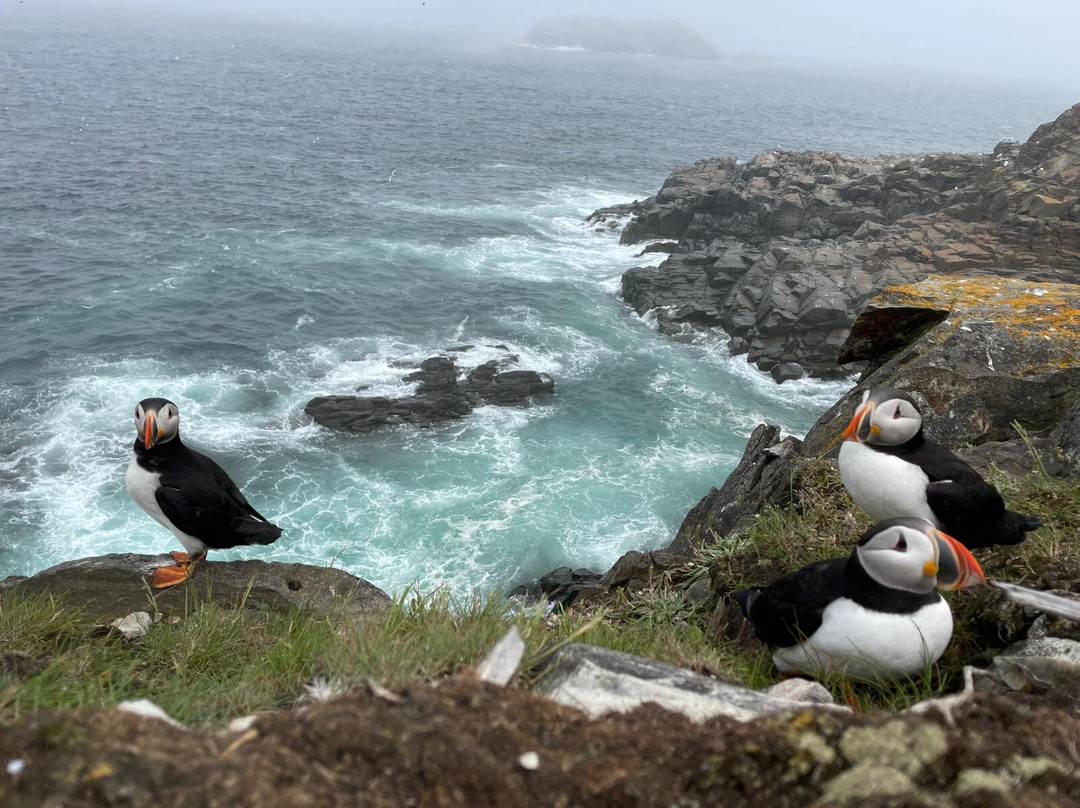 McCarthy's Party - Day Tours-圣约翰必去景点
