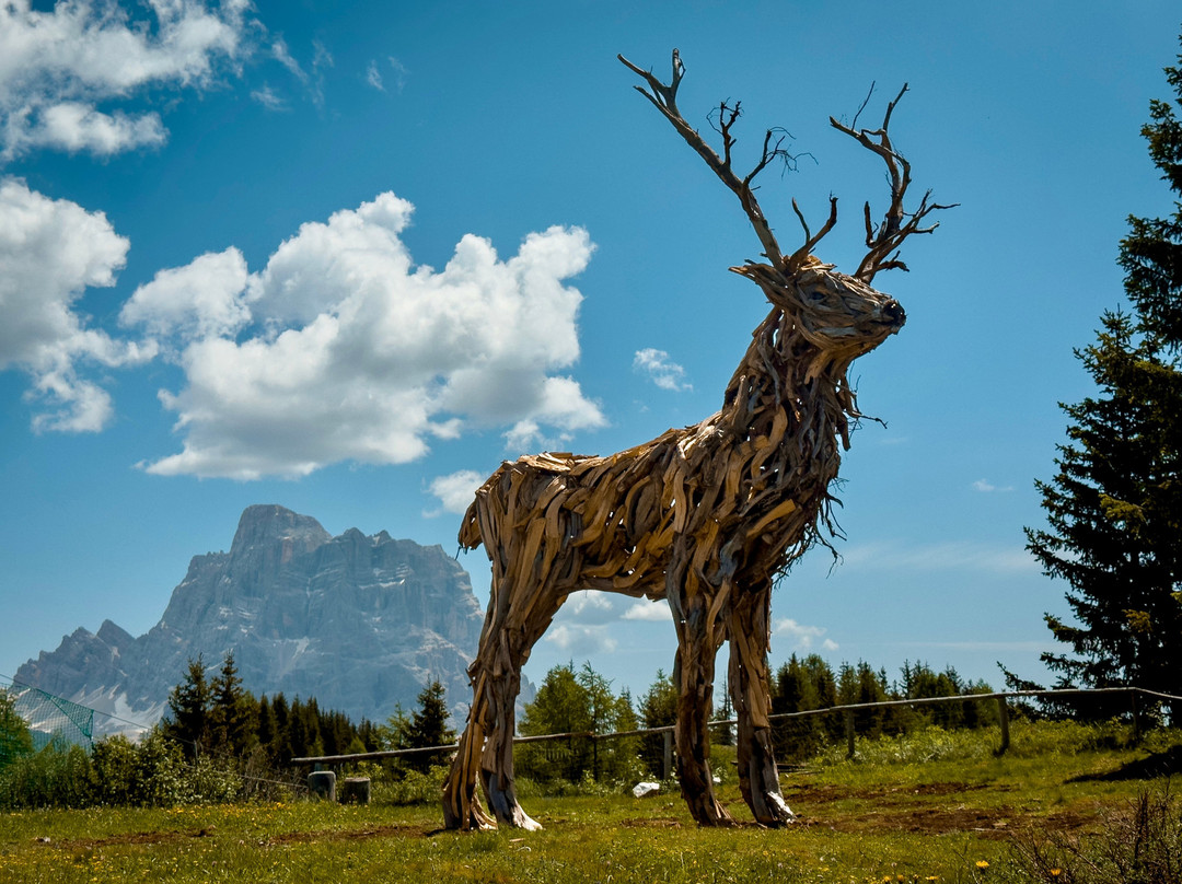 Seggiovie Fertazza - Val Fiorentina-Selva di Cadore必去景点
