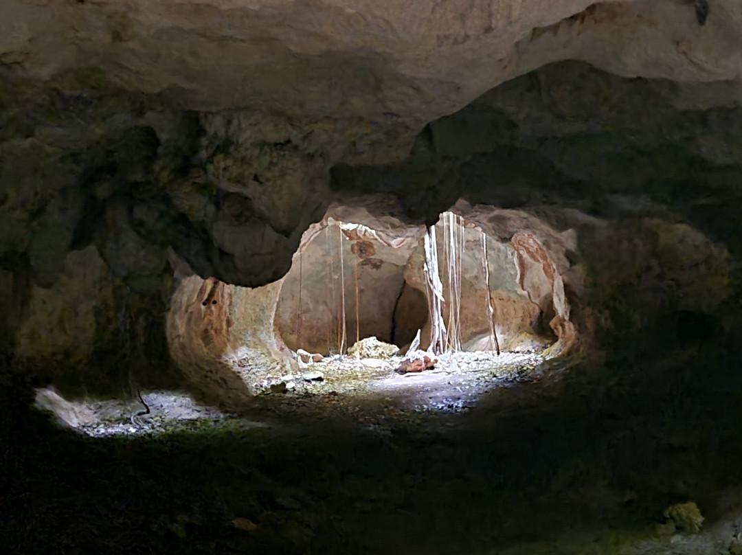 Cueva de Ambrosio-巴拉德罗必去景点