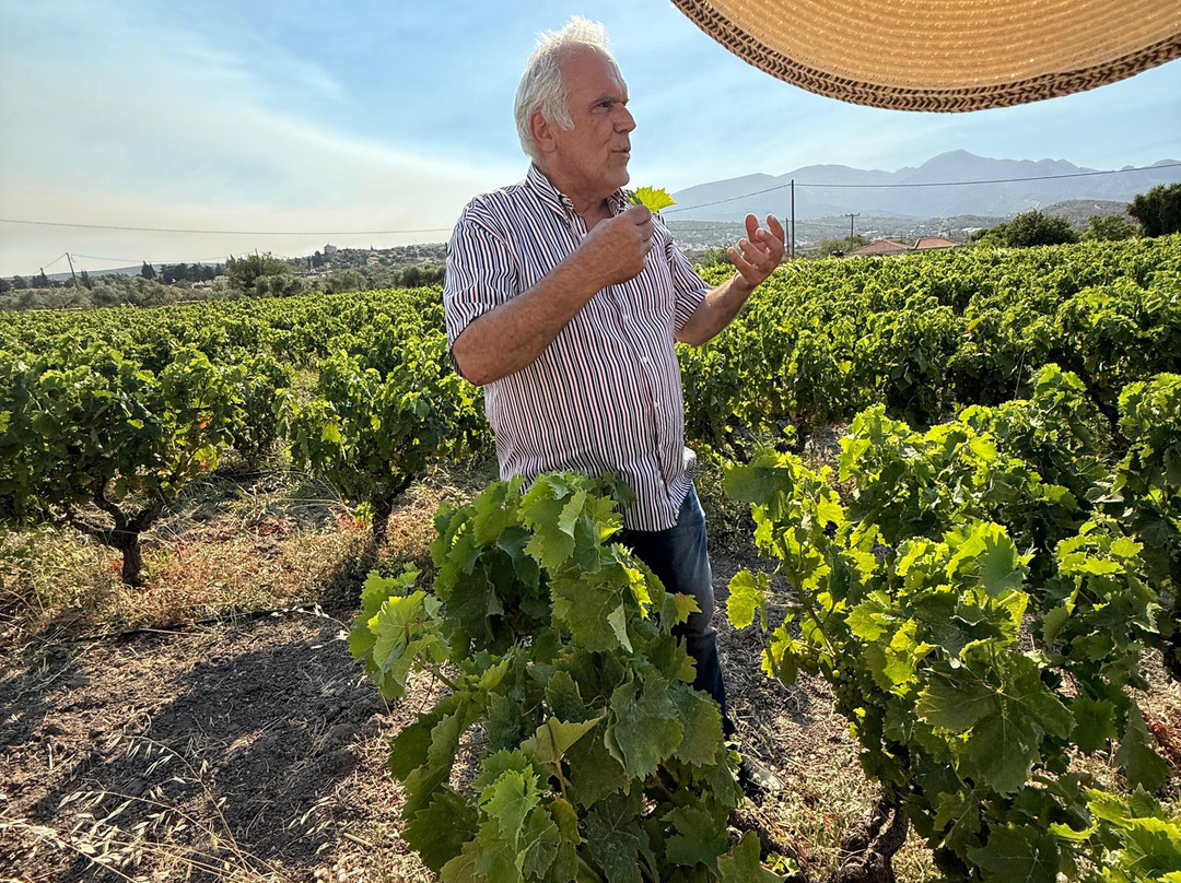 Hatziionnou Winery-Samos Town必去景点