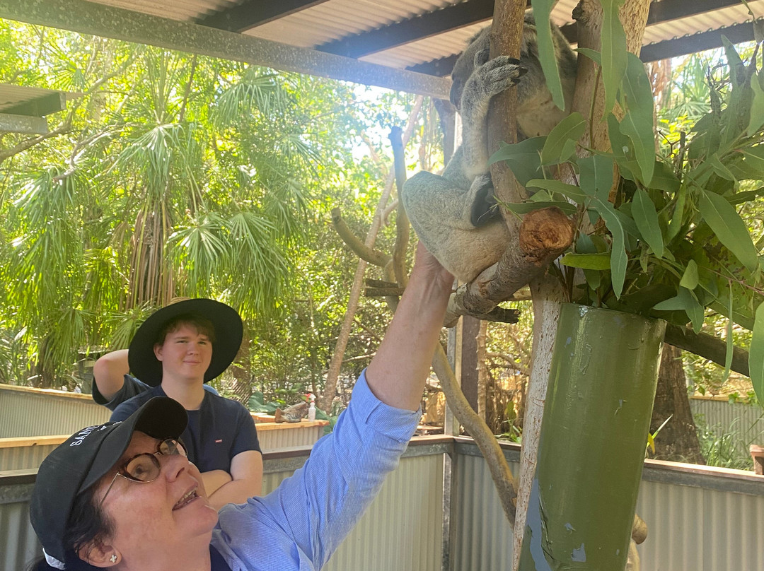 Selina Magnetic Island & The Koala Park-Horseshoe Bay必去景点