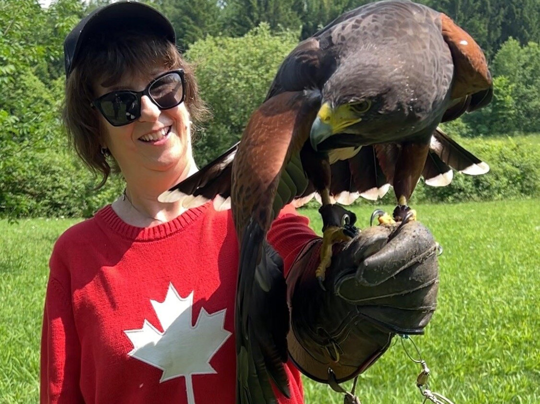 Hawkeye Bird and Animal Control-Erin必去景点