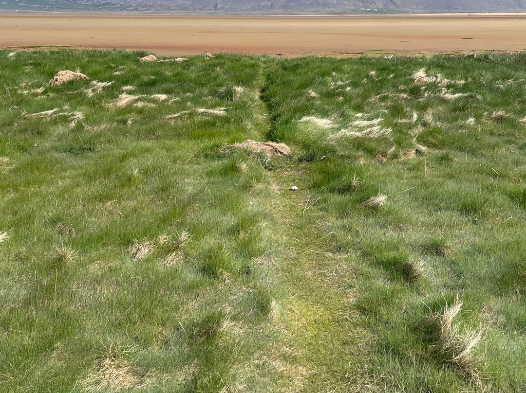 Raudasandur Beach-Latrabjarg必去景点