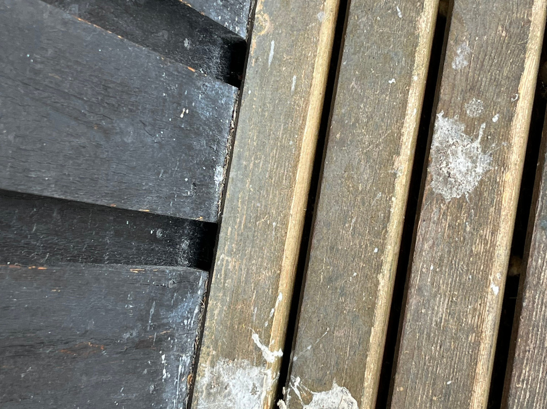 Lofsdalens Fjällhotell主图