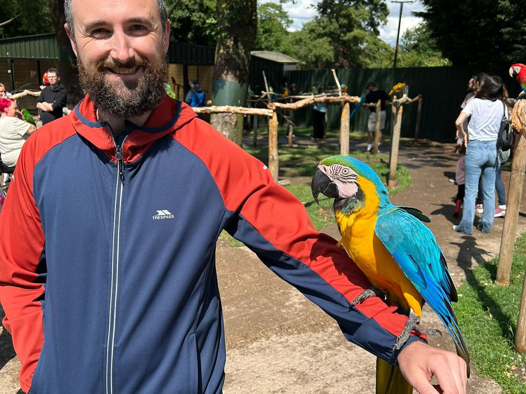 Tropical Birdland-Desford必去景点