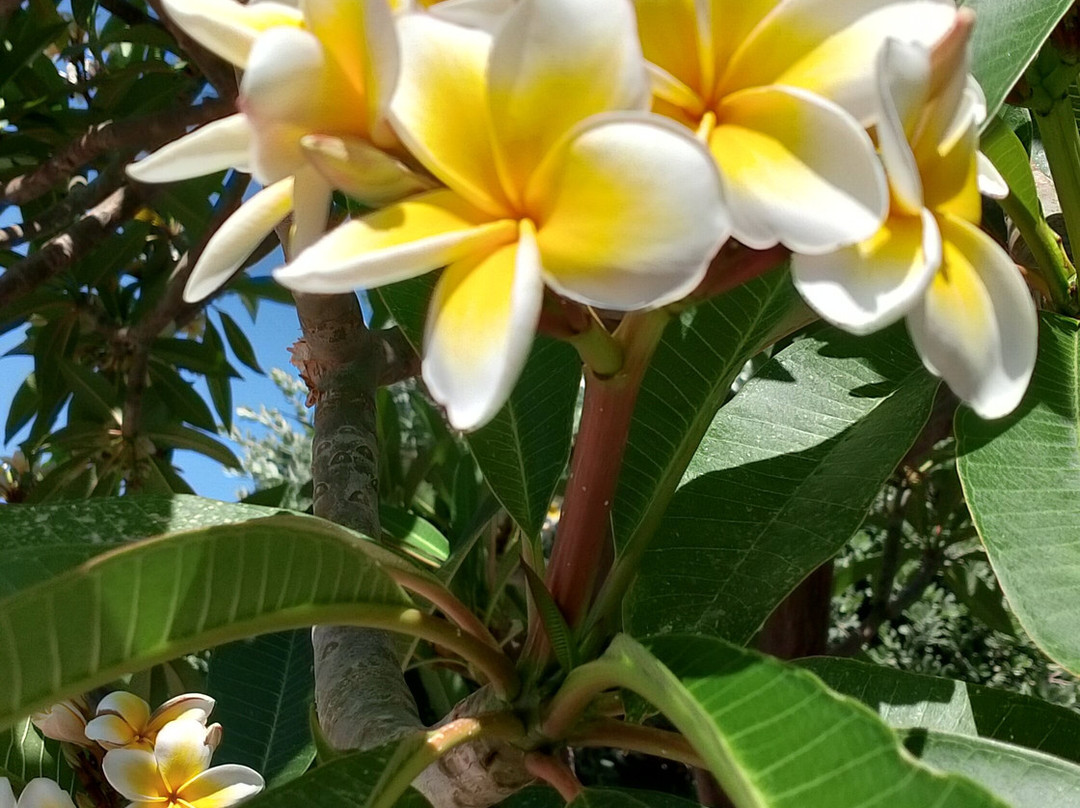 Kathrin Beach Hotel主图