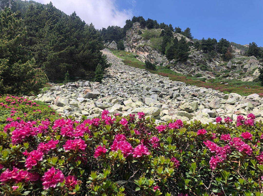 Vall de Nuria-Queralbs必去景点